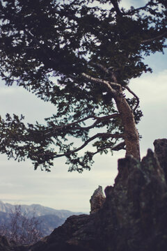 Rocky Mtn Ntl Park 2