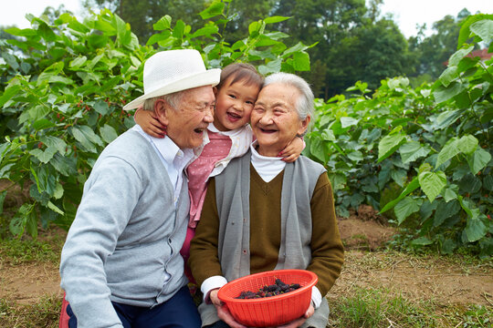 happy little girl with her great grandparents