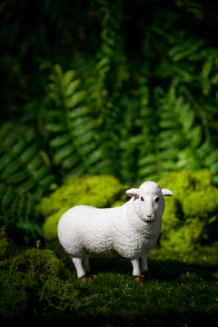 A lamb or sheep in the forest at night