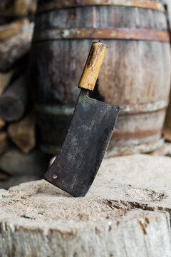 Old cleaver lodged in a trunk