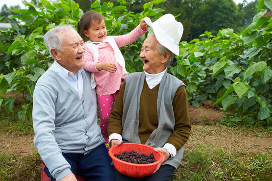 lovley little asian girl with her great grandparents outdoor