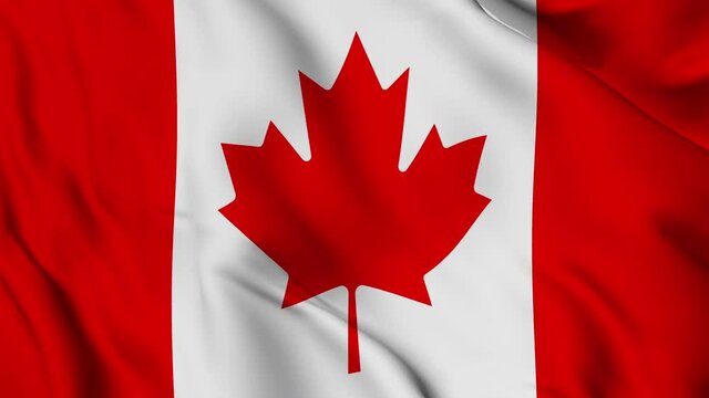 Flag of Canada fluttering in the wind