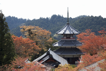 金峯山寺