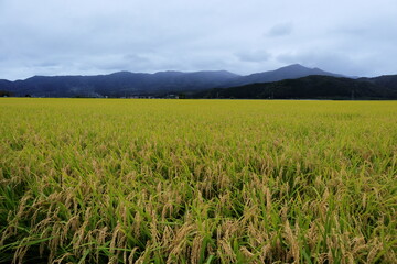 日本　遠野の風景