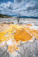 hydrothermal areas of mammoth hot springs in yellowstone national park, wyoming in the usa