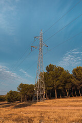 Poste de electricidad con arboles al fondo