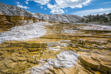Fototapeta na wymiar hydrothermal areas of mammoth hot springs in yellowstone national park, wyoming in the usa