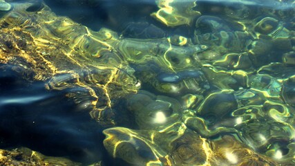 Fish under water. Cyprus. Pathos. Beach.