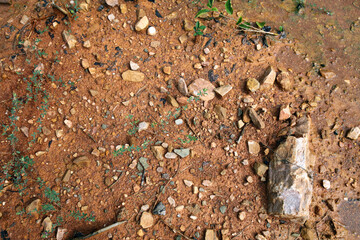 Moist yellow soil with lots of small stones, detailed texture