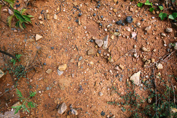 Moist yellow soil with lots of small stones, detailed texture