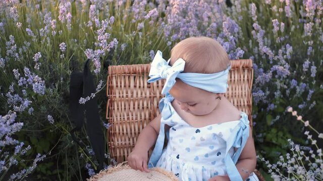 Kids photoshoot. The little cute girl is sitting in the lavender field. The child is wearing a lovely dress and a head band. Closeup image.