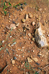 Moist yellow soil with lots of small stones, detailed texture