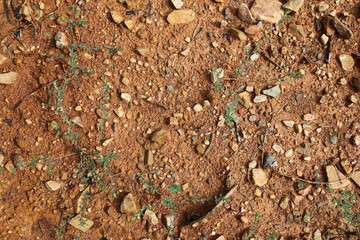 Moist yellow soil with lots of small stones, detailed texture