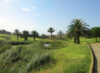 Fototapeta na wymiar tropical green grass field with palm trees on a golf field.