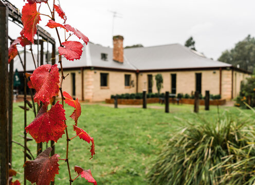 Australian Mudbrick Homestead