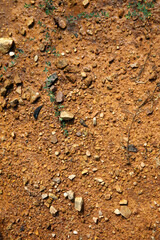Moist yellow soil with lots of small stones, detailed texture