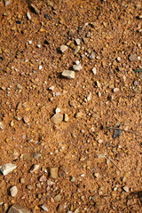 Moist yellow soil with lots of small stones, detailed texture
