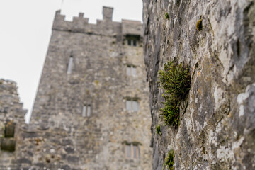 Fototapeta na wymiar Aughnanure Castle, Oughterard, County Galway, Ireland. This well preserved medieval structure is a popular historical tourist attraction.