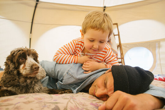 Glamping - Caucasian Father and Son With Cocker Spaniel on Bed Inside Large Circular Tent