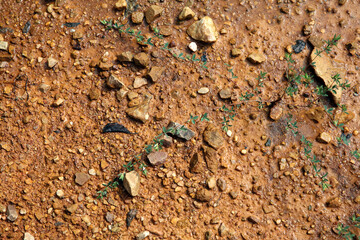Moist yellow soil with lots of small stones, detailed texture