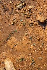 Moist yellow soil with lots of small stones, detailed texture
