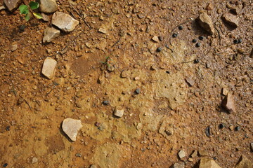 Moist yellow soil with lots of small stones, detailed texture