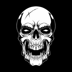 skull head illustration