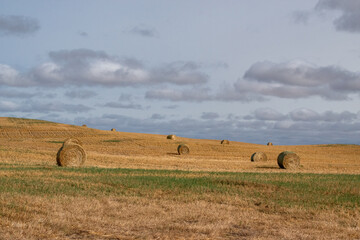 Hay Bales after fall harvest on the Canadian Prairies. © royalkangas