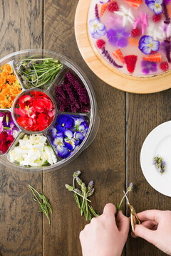 Woman cuts an edible flower stem with scizzors