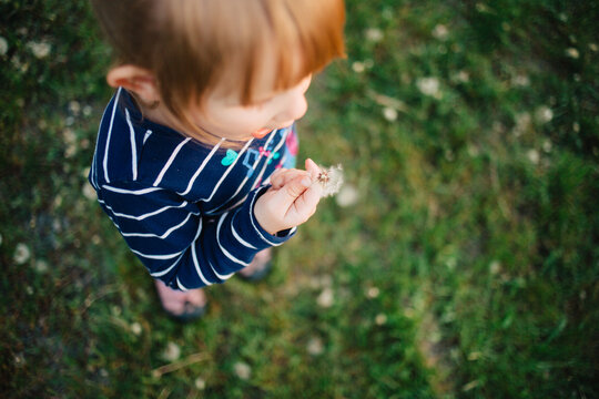 Overhead image of a toddler girl getting ready to blow a dandelion weed.