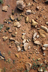 Moist yellow soil with lots of small stones, detailed texture