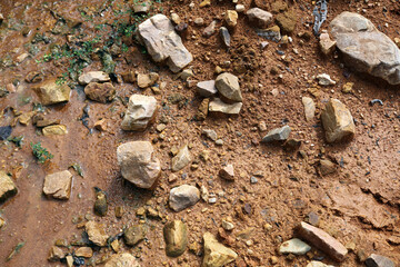 Moist yellow soil with lots of small stones, detailed texture