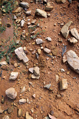 Moist yellow soil with lots of small stones, detailed texture