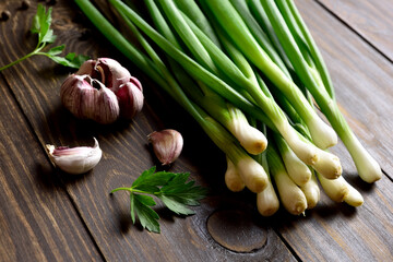 Fresh green onion and garlic - obrazy, fototapety, plakaty
