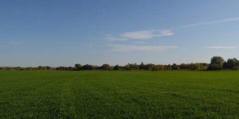 Autumn walks through forests and fields, beautiful panorama.