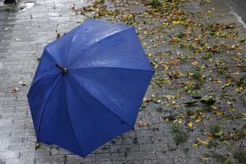 Blue umbrella standing on wet street on a rainy day