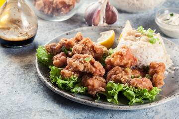 Crispy chicken karaage served with rice