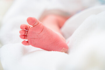 出産直後産まれたての赤ちゃんの小さな足 新生児のニューボーンフォト
