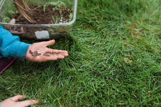 Close up of a child digging in the dirt for worms