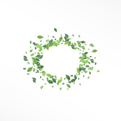 Swamp Foliage Nature Vector White Background 