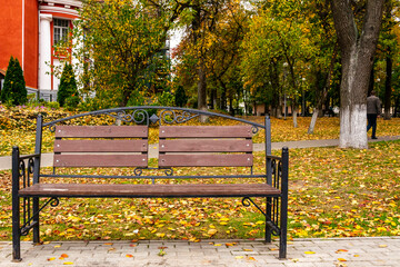 Empty bench in the autumn city park.