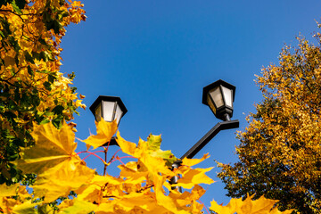 Lanterns in the park yellow foliage blue sky.