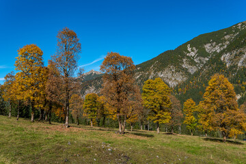 Herbststimmung am Großen Ahornboden in Bayern