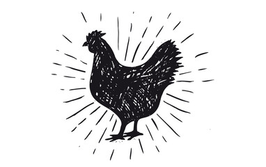 Chicken hand drawn Vector illustration.
