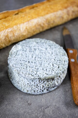 fromage de chèvre Selles-sur-Cher et baguette de pain