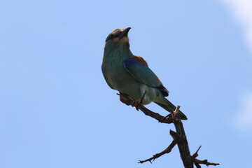 Photos taken in Kruger National Park