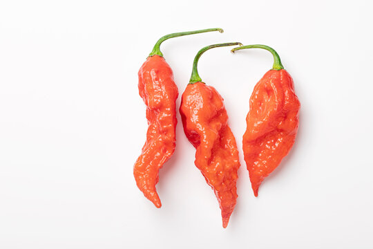 81 Best ブートジョロキア Images Stock Photos Vectors Adobe Stock