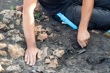 Archaeologist digging with a trowel