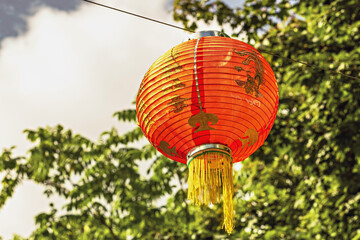 Obraz premium Chinese new year lanterns in the Park