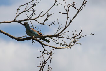 Photos taken in Kruger National Park